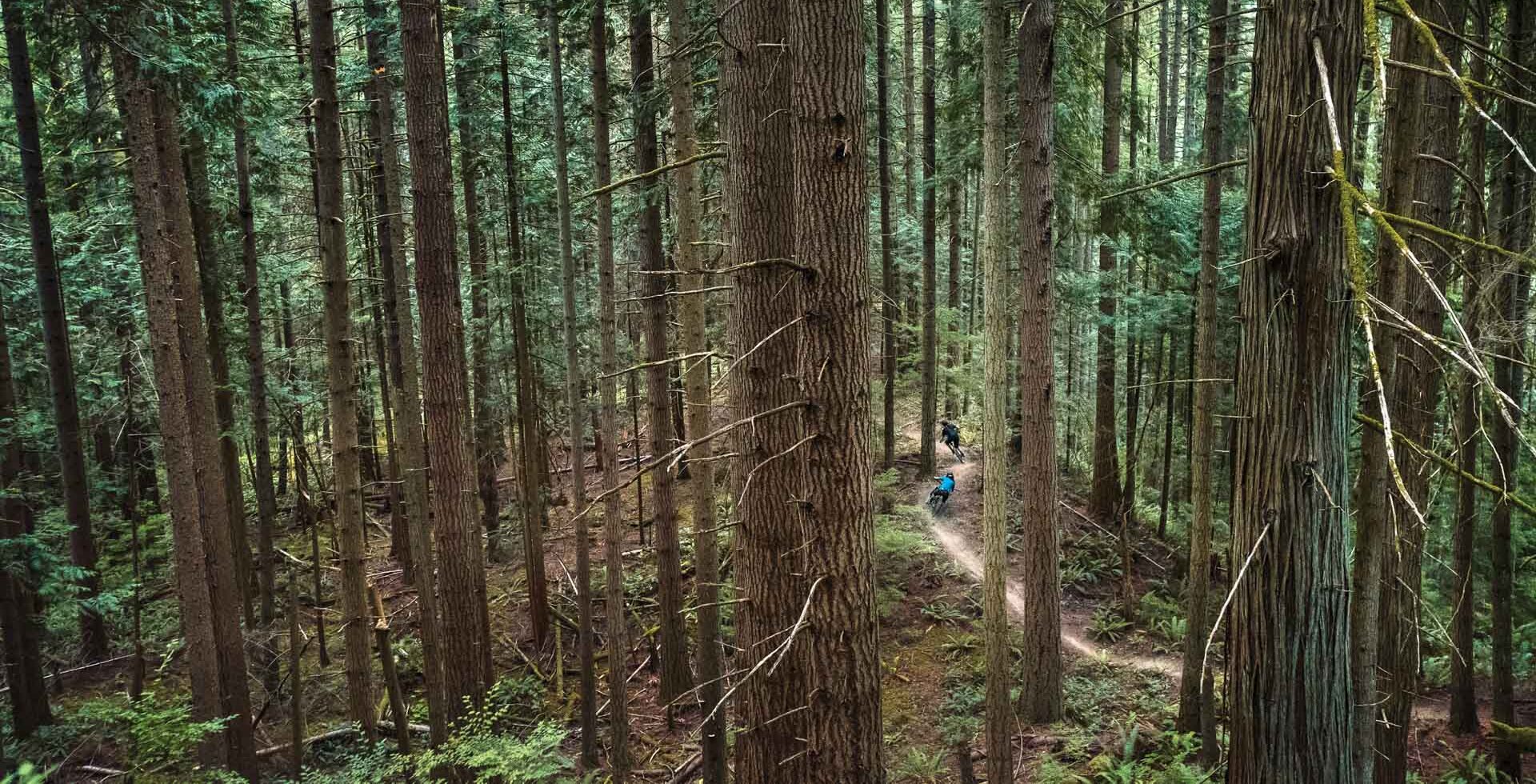 Riding in the Northwest can vary immensely by region, but tall trees, ripping singletrack and good company are guaranteed just about anywhere. Skye Schillhammer and Kelend Hawks enjoy all the attributes on Bellingham’s Cougar Ridge, one of the newest additions to Bellingham’s renowned (and ever-growing) trail network. NIKON, 1/640 sec, f/5, ISO 6400